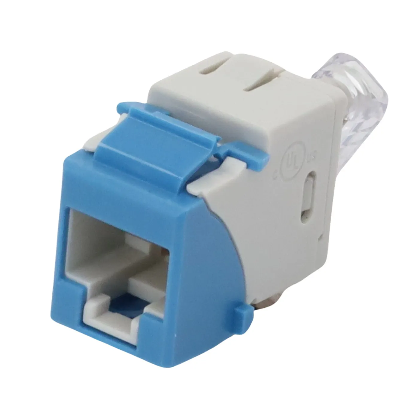 [021889] [U6-K06NB] Siemon - Jack RJ45 Cat6 UltraMax Color Azul Punch Down [Unidad]