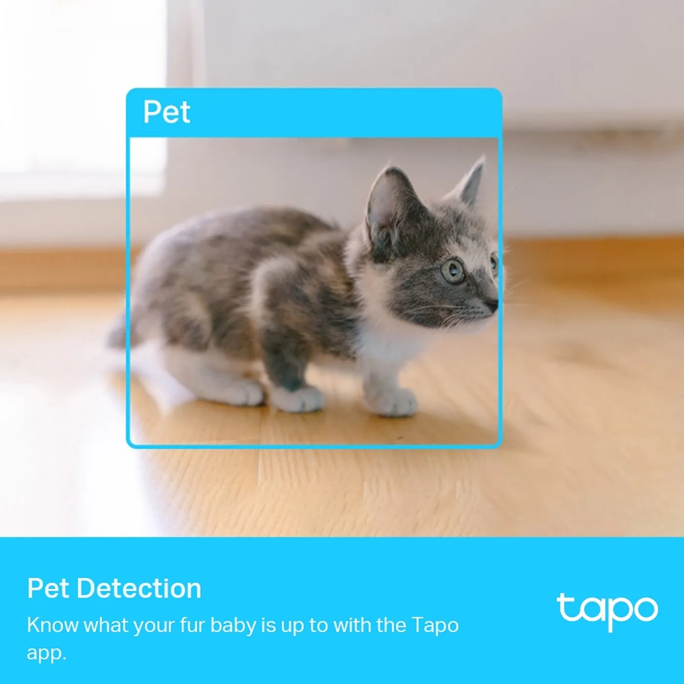 [C225] Tapo by TP-Link - Cámara HD [2K] Inteligente de Vigilancia Rotatoria 360° Wifi