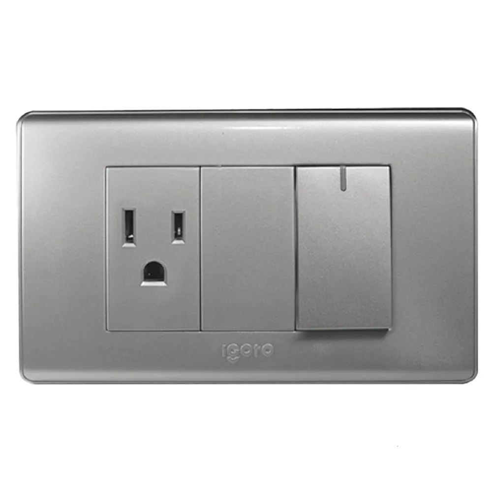 Interruptor Simple + Toma Corriente Serie A Plata A2036-S Igoto