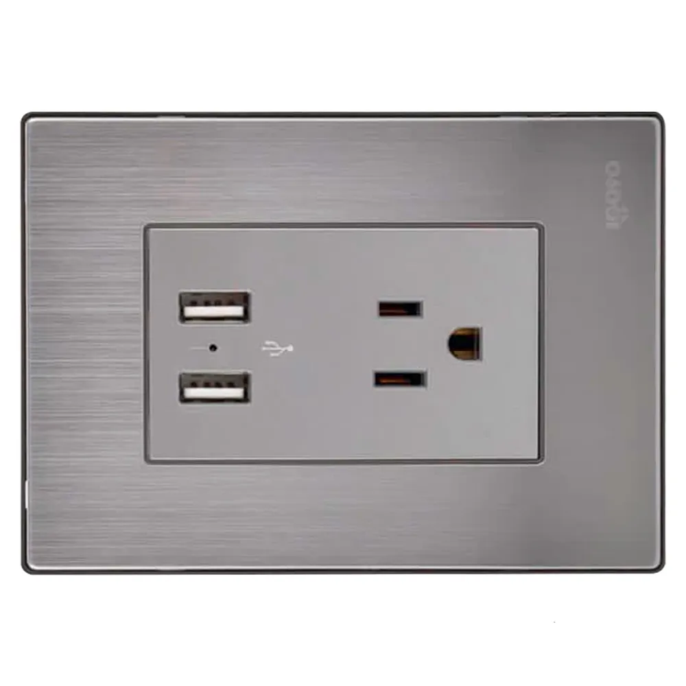 Toma Corriente con Tierra + 2 USB Serie Inox I105U Igoto